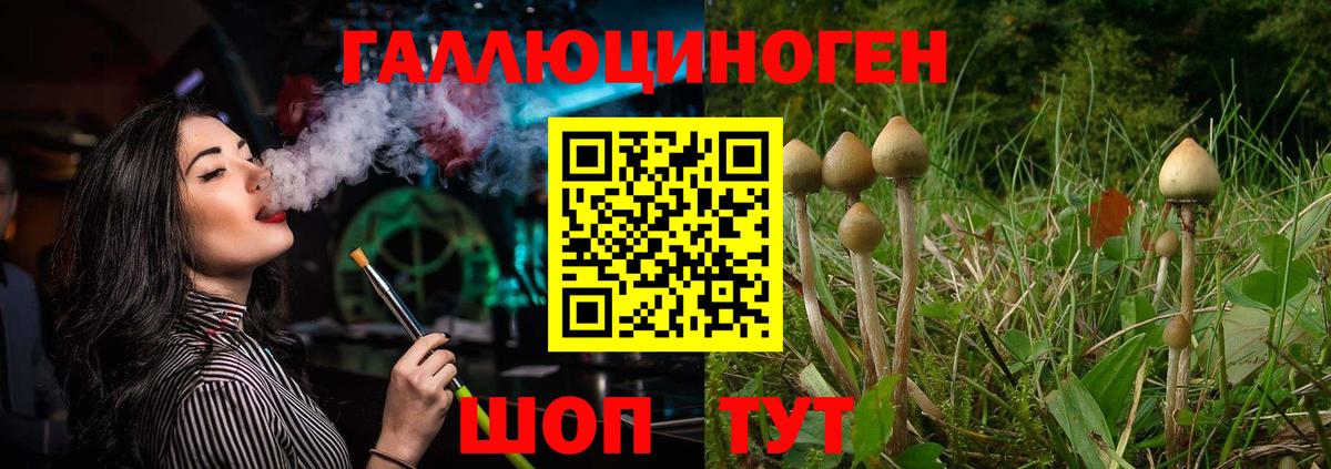 Тельмана  Псилоцибиновые грибы Psilocybine cubensis  Вход с VPN 